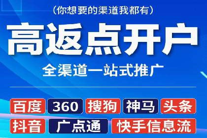 SEM投放策略：成功案例解析